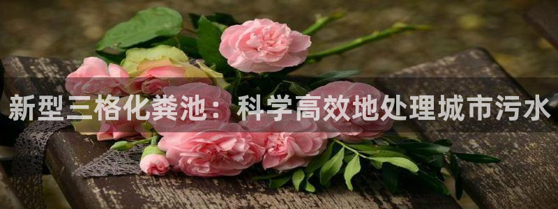 天辰娱乐台湾