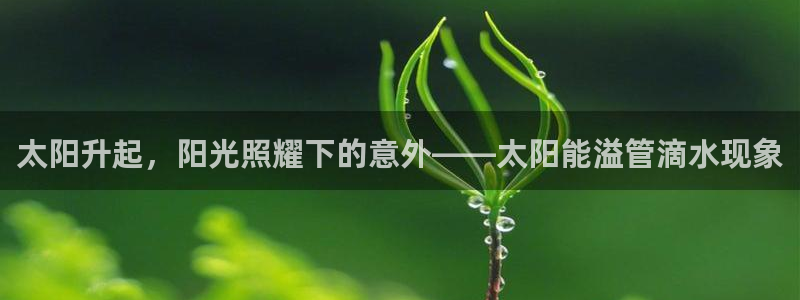 天辰娱乐好吗