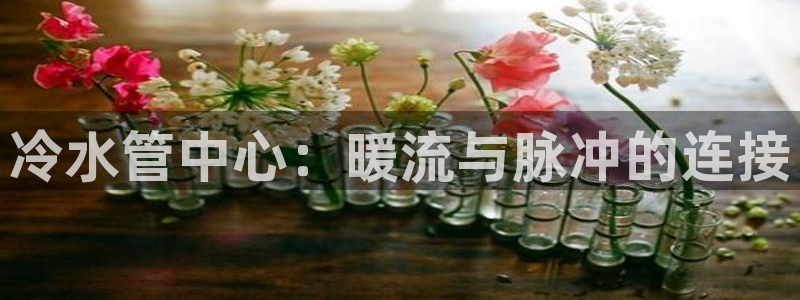 天辰娱乐 注册